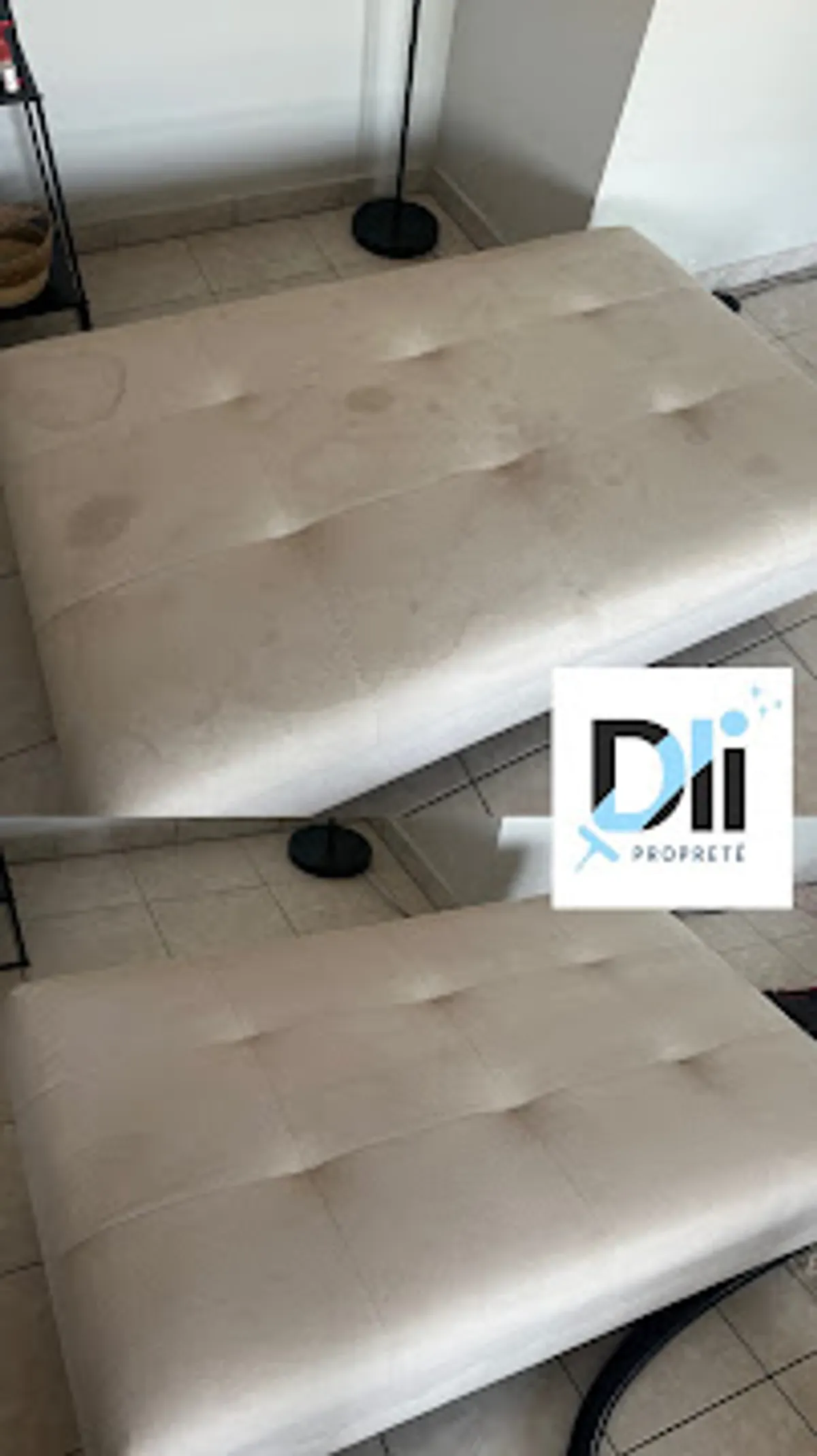 DLI Propreté - Photo 2