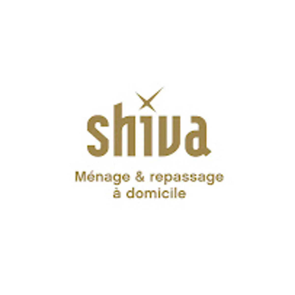 Ménage et repassage à domicile - Shiva Cruseilles - Photo 2
