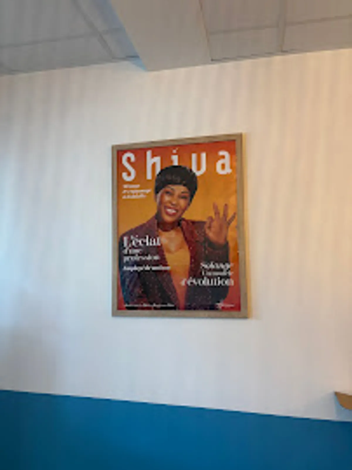 Ménage et repassage à domicile - Shiva Trélazé - Photo 6