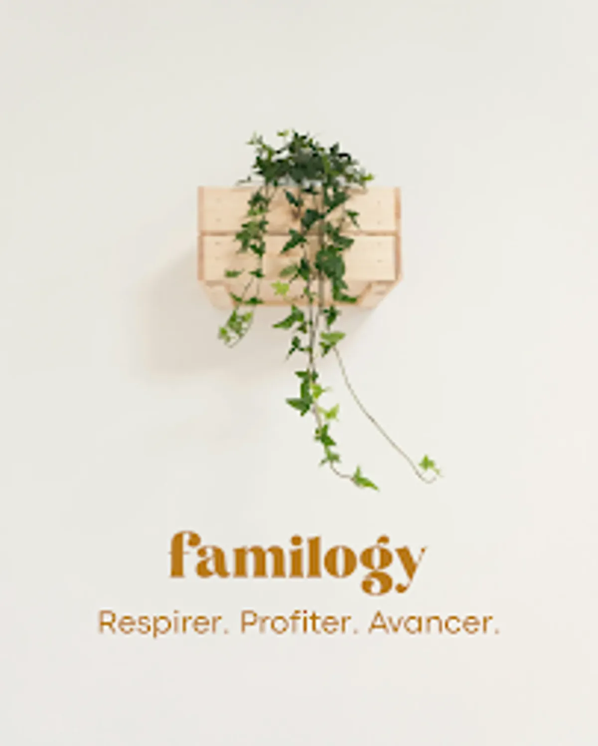 Familogy - Ménage et Repassage à domicile | Cadaujac & alentours - Photo 9