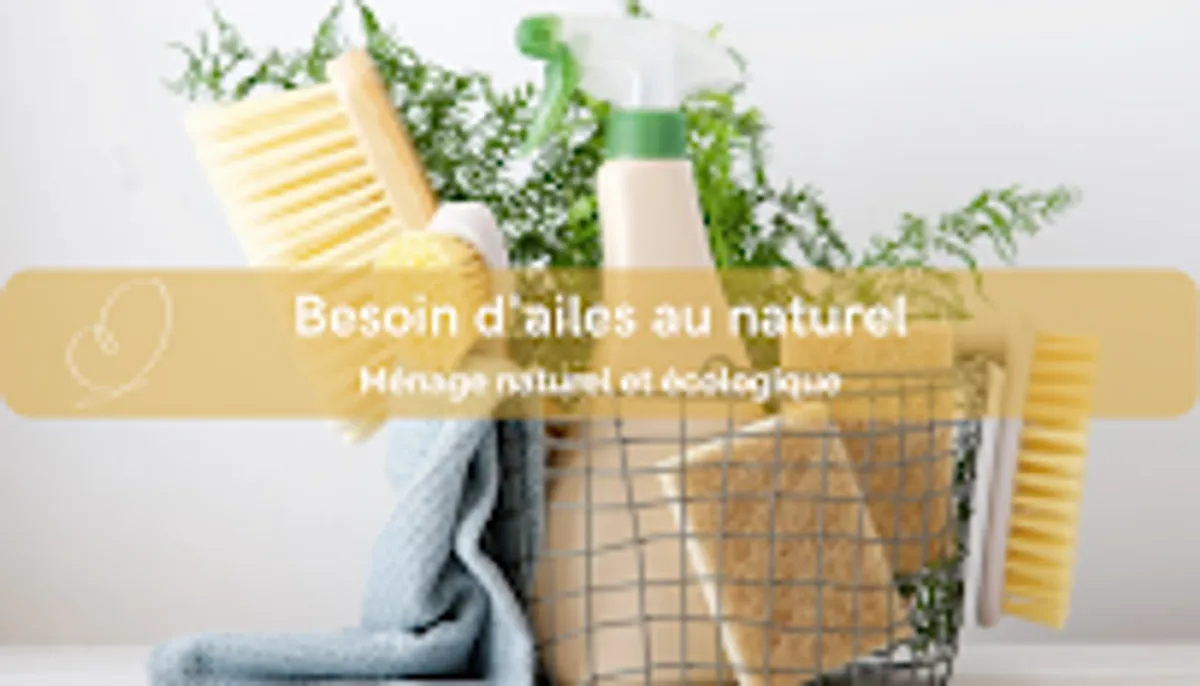 Besoin d'ailes au naturel - ménage à domicile - Photo 2