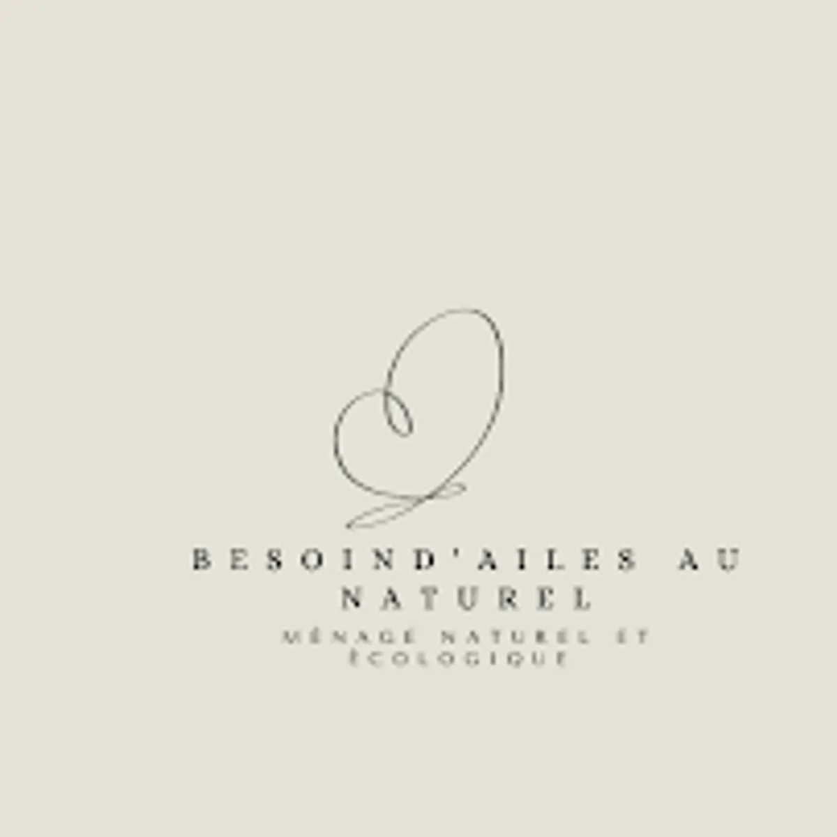 Besoin d'ailes au naturel - ménage à domicile - Photo 4