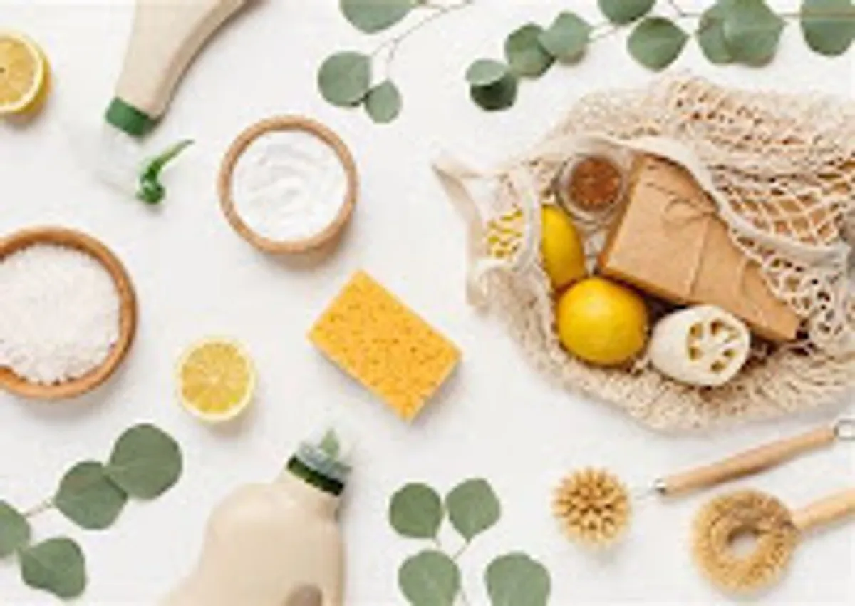 Besoin d'ailes au naturel - ménage à domicile - Photo 6