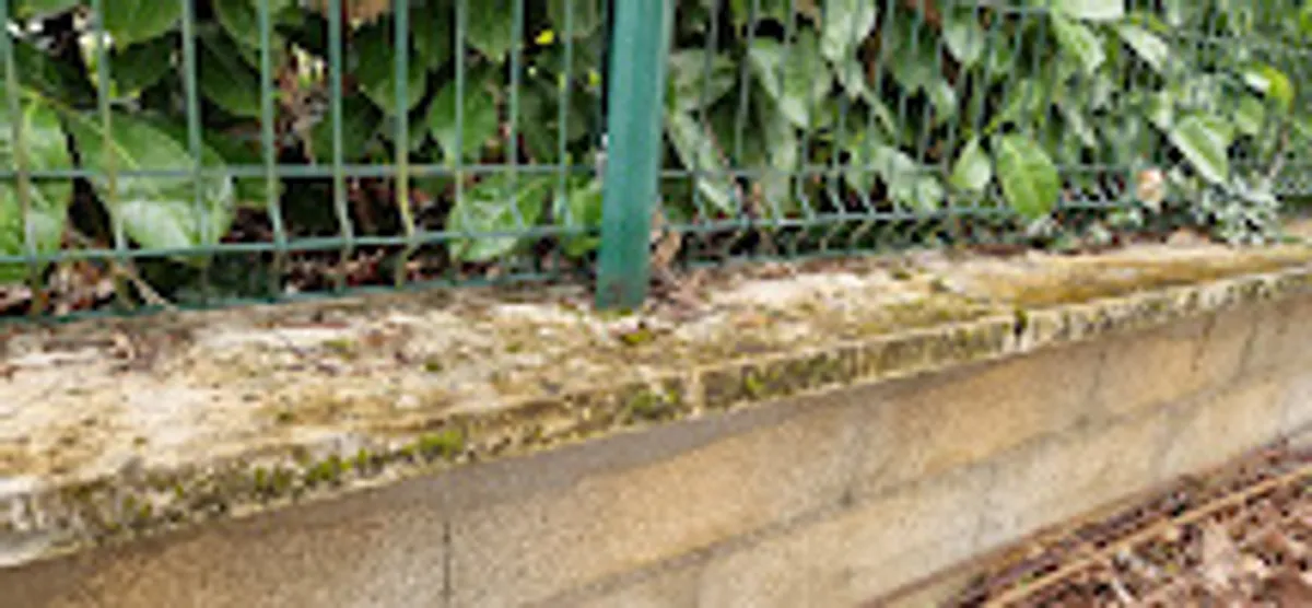 BEAUNE NET - Photo 4