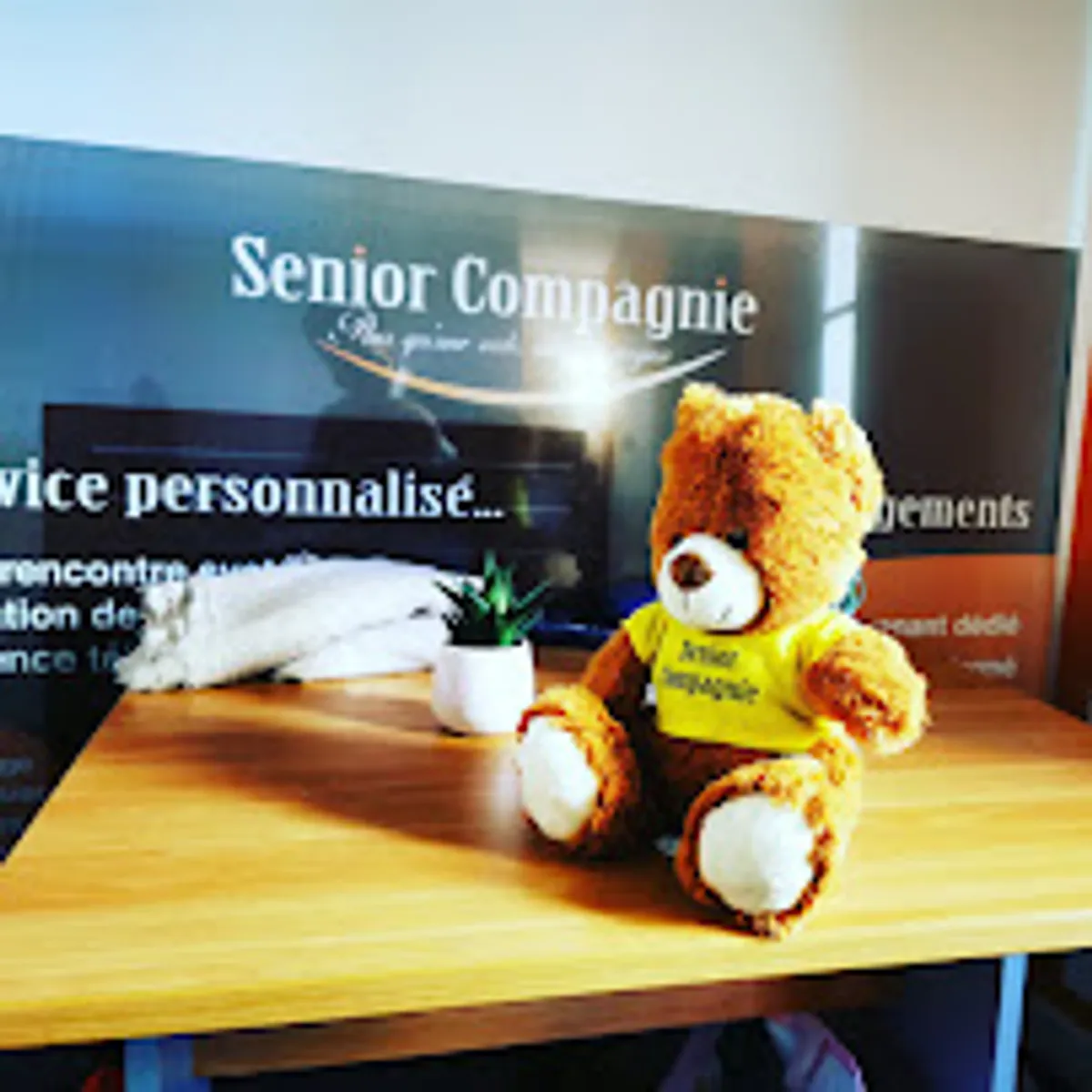 Senior Compagnie Le Chesnay Rocquencourt - Aide à Domicile - Photo 5