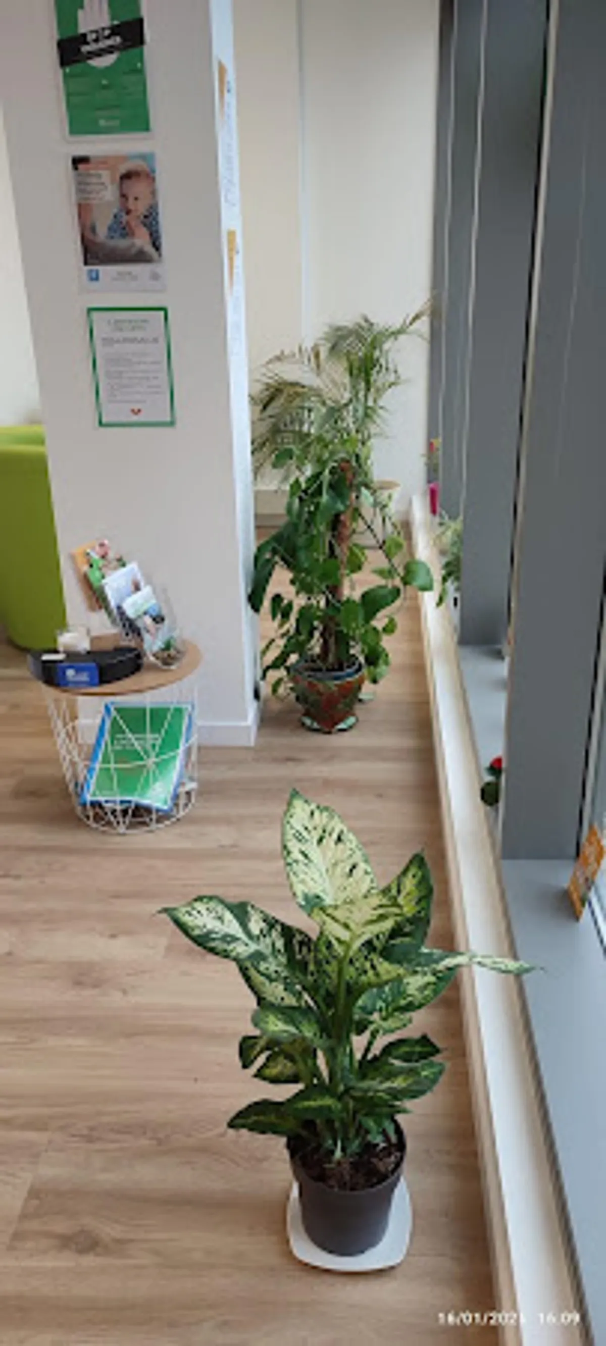 APEF Chambray - Aide à domicile, Ménage, Jardinage et Garde d'enfants - Photo 2