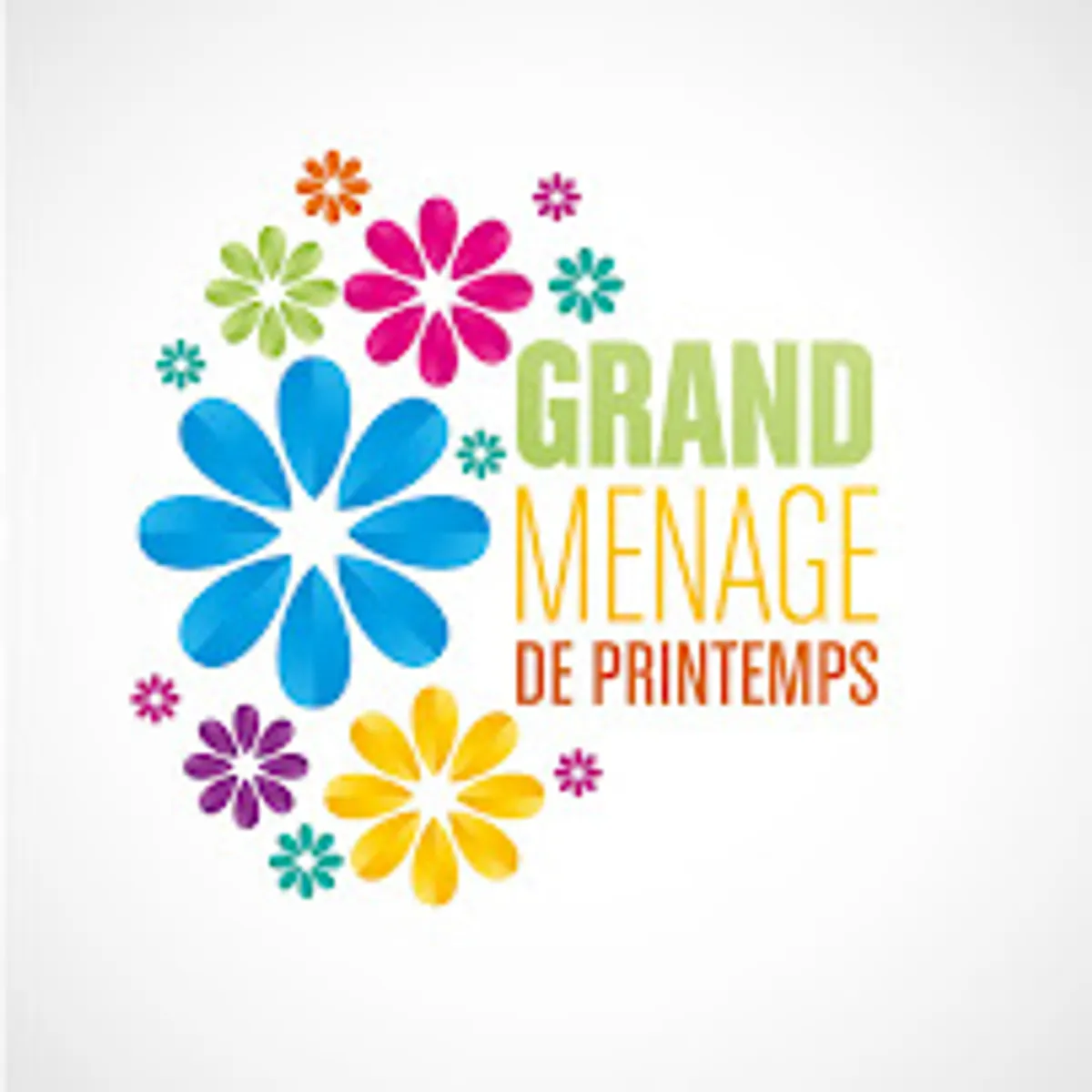 Clair & Net - ménage repassage entretien du domicile Bussy Saint Georges - Photo 5
