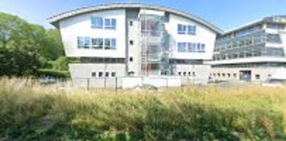 Vista Services - Photo 2