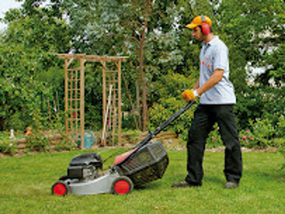 AXEO Services Pompey- Pont-à-Mousson - Ménage, Jardinage, Bricolage - Photo 9