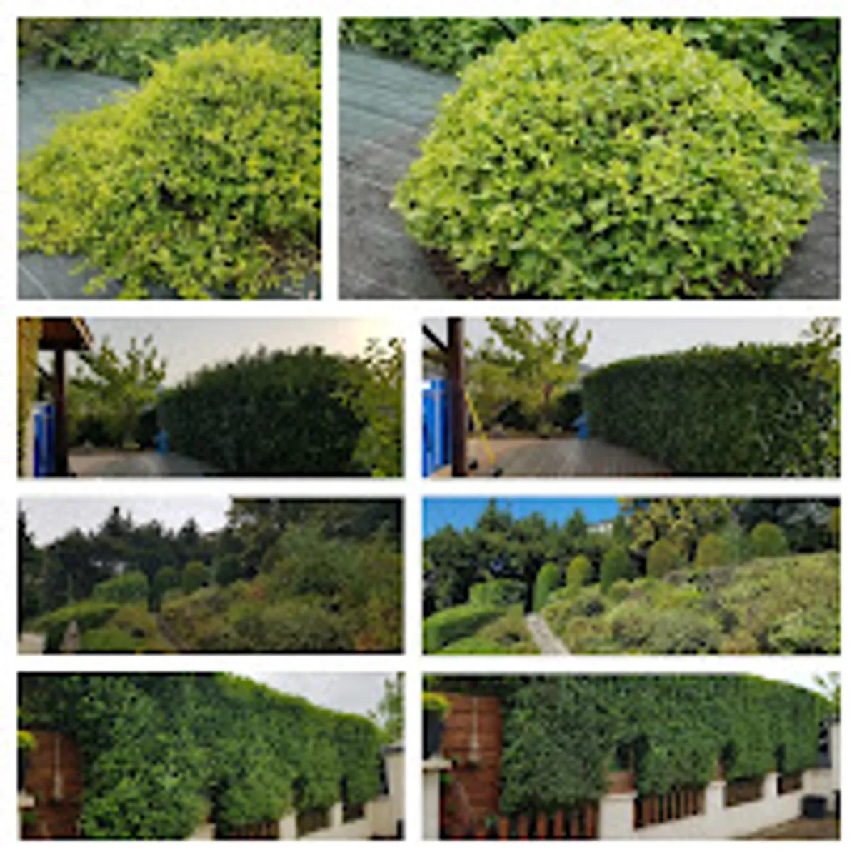RMS42 - Photo 3