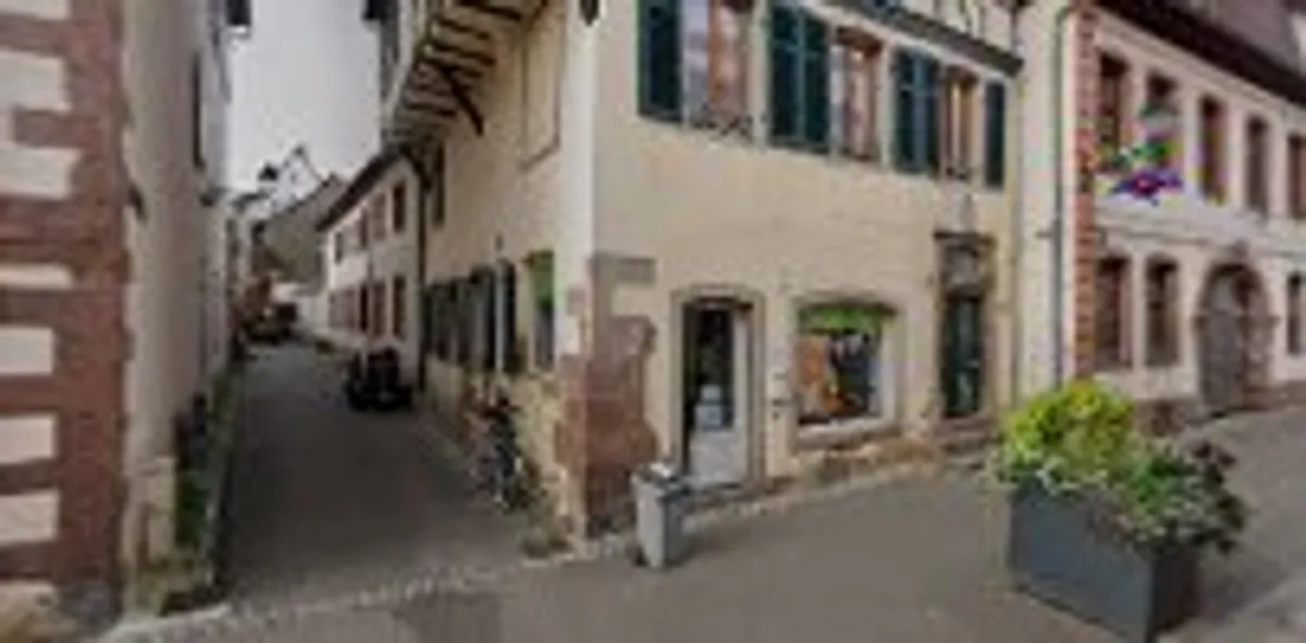 APEF Sélestat - Aide à domicile, Ménage, Jardinage et Garde d'enfants - Photo 3