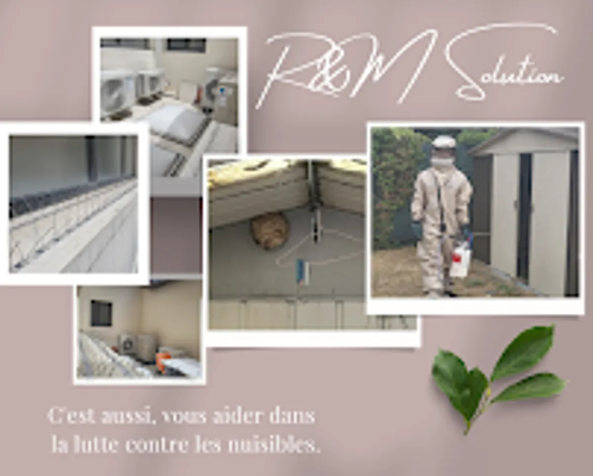 R&M Solution - Service de nettoyage - Photo 8