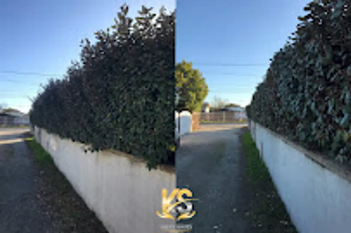 Kalys Service - Ménage et entretien de jardin Bassin d'Arcachon - Photo 9