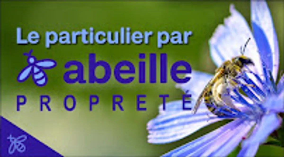 Le Particulier par l'Abeille