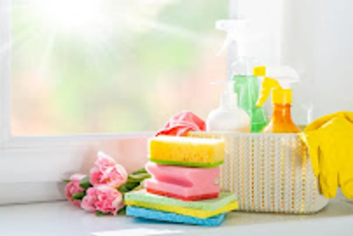 TOUT A DOM SERVICES La Roche-sur-Yon Agglo