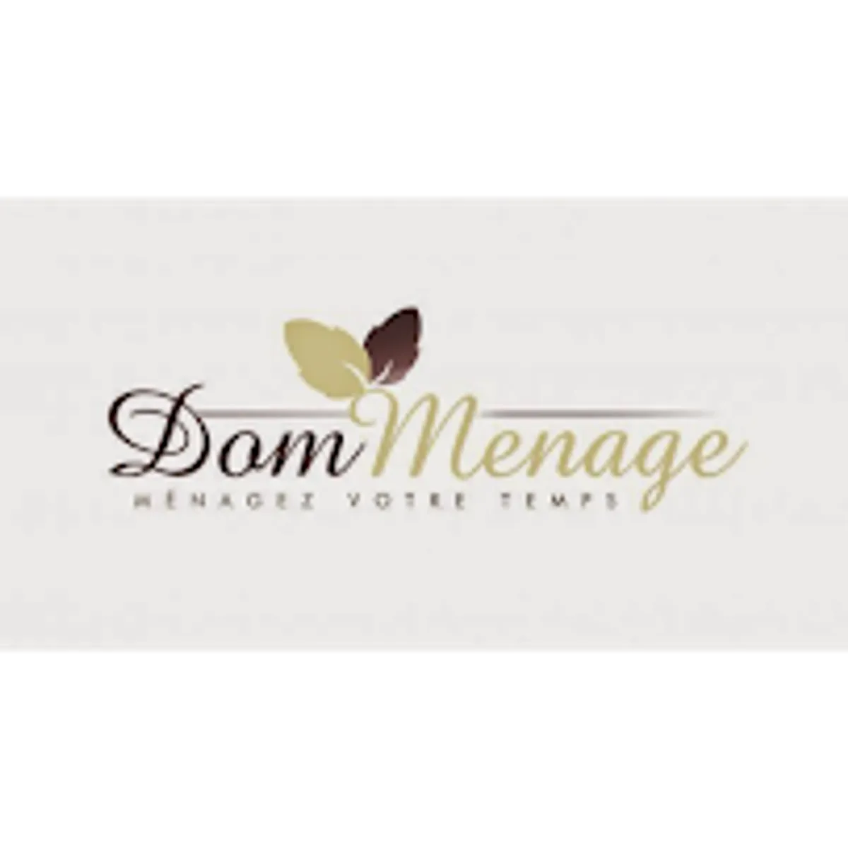 Dom-Ménage - Photo 6