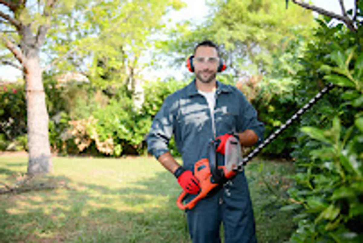 JDM SERVICES A DOMICILE - Photo 2