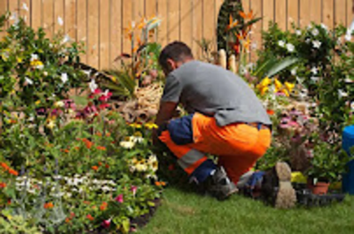 ALOHA SERVICES - Ménage, Aide aux seniors, Entretien création de jardin, Nettoyage PRO - Photo 3