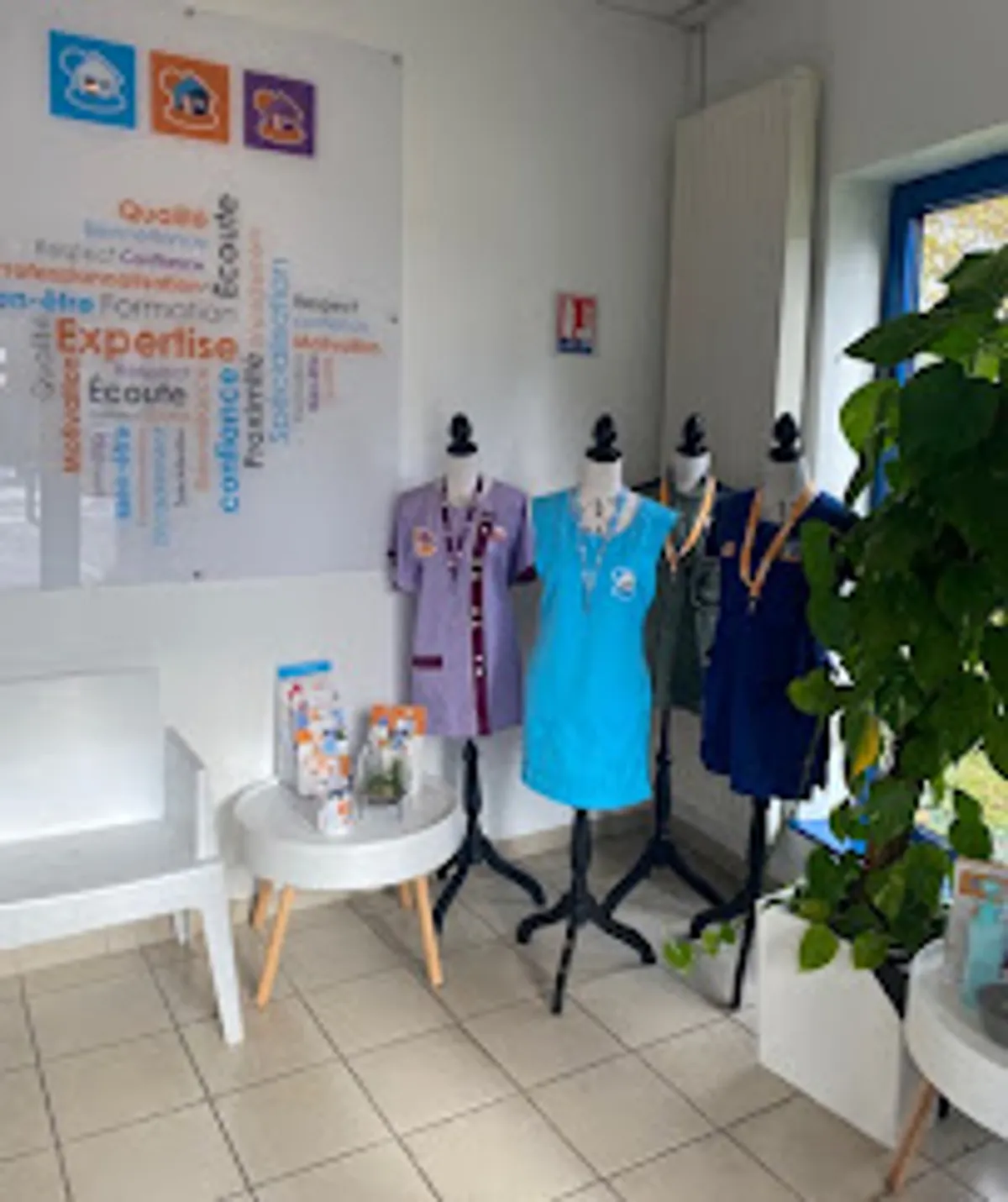 Maison et Services Fèves | Ménage, repassage, jardinage, nettoyage des vitres - Photo 2