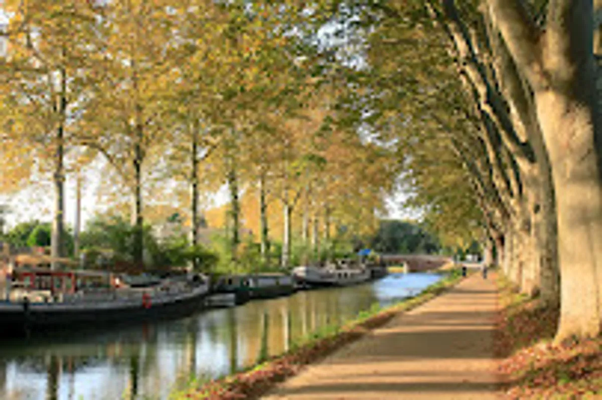 Hestia Services à Domicile - Photo 9