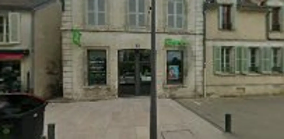APEF Auxerre - Aide à domicile, Ménage, Jardinage et Garde d'enfants - Photo 3
