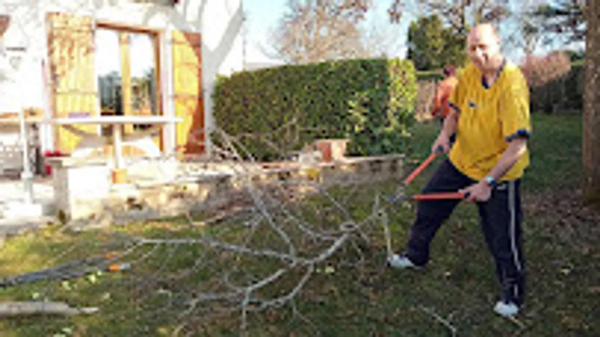 JMP CLEAN SERVICE - Photo 3