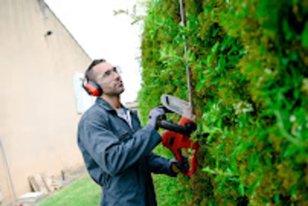 MSSD Multi-Services et Soins au Domicile - Photo 4