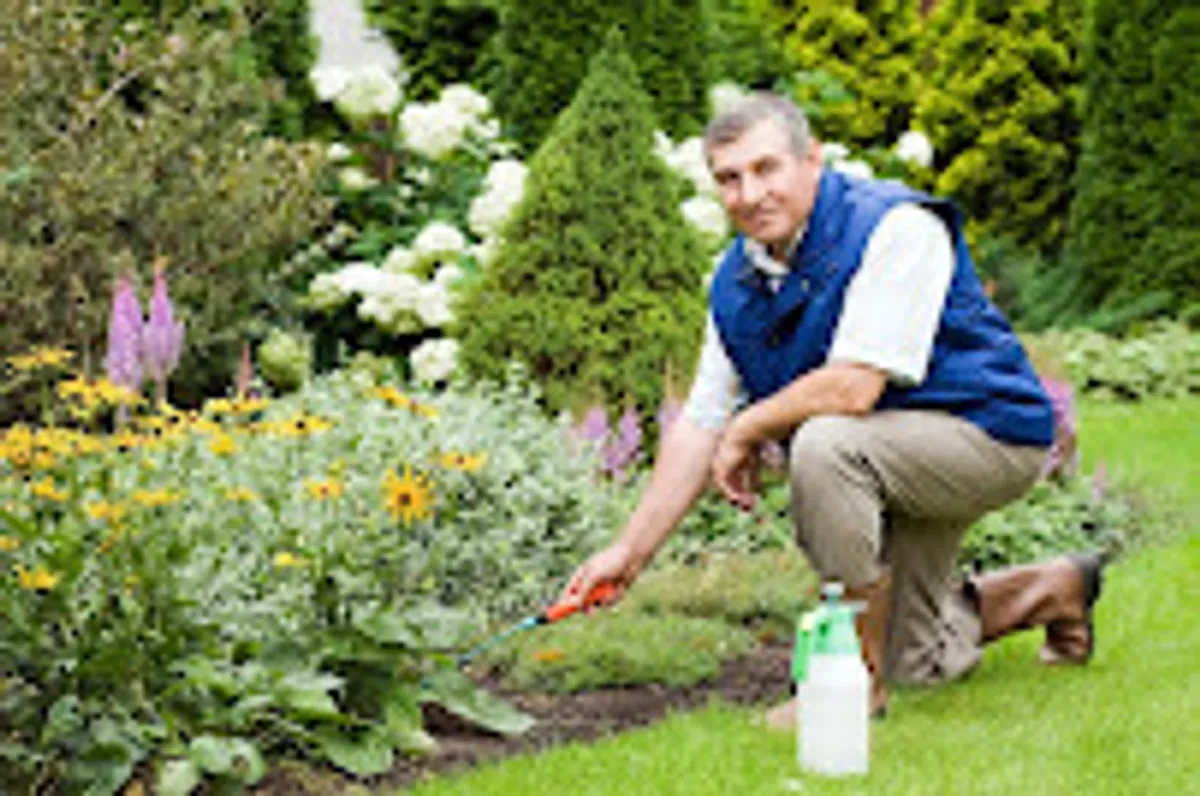 DOMIPREST Services d'Aide a Domicile-Ménage et Jardinage -La Baule-Pornichet - Photo 5