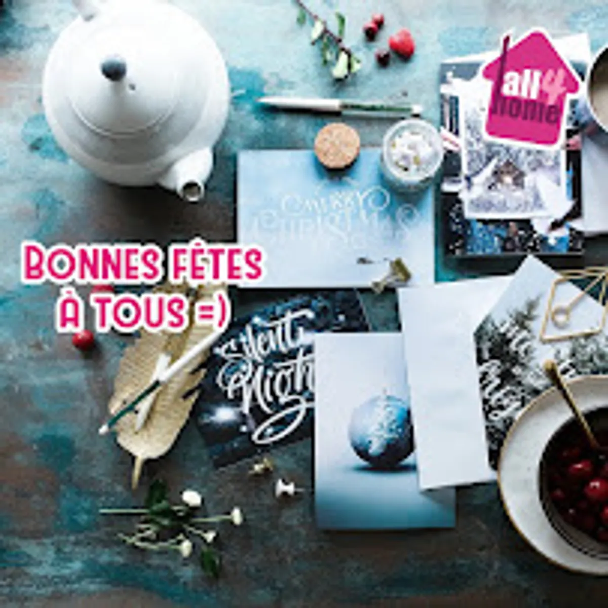 All4Home Saint-Brieuc - Ménage, repassage et garde d'enfants - Photo 6