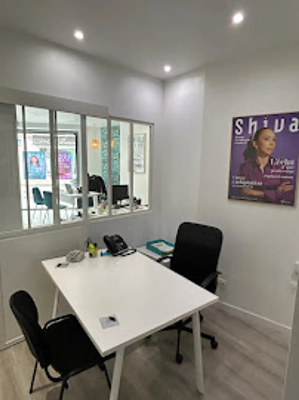 Ménage et repassage à domicile - Shiva Blagnac - Photo 3