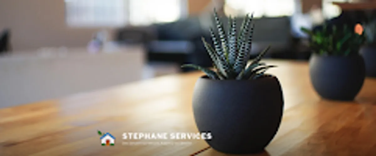 Stéphane-Services - Photo 2