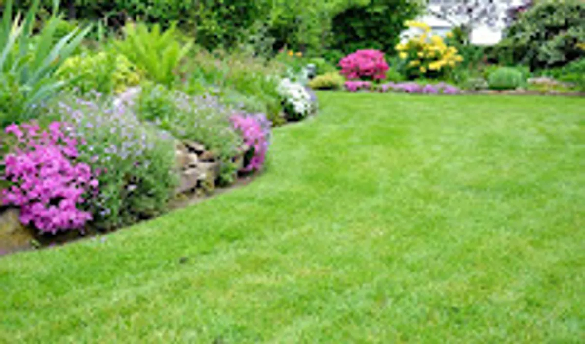 Adely Services & Intendance - Photo 7