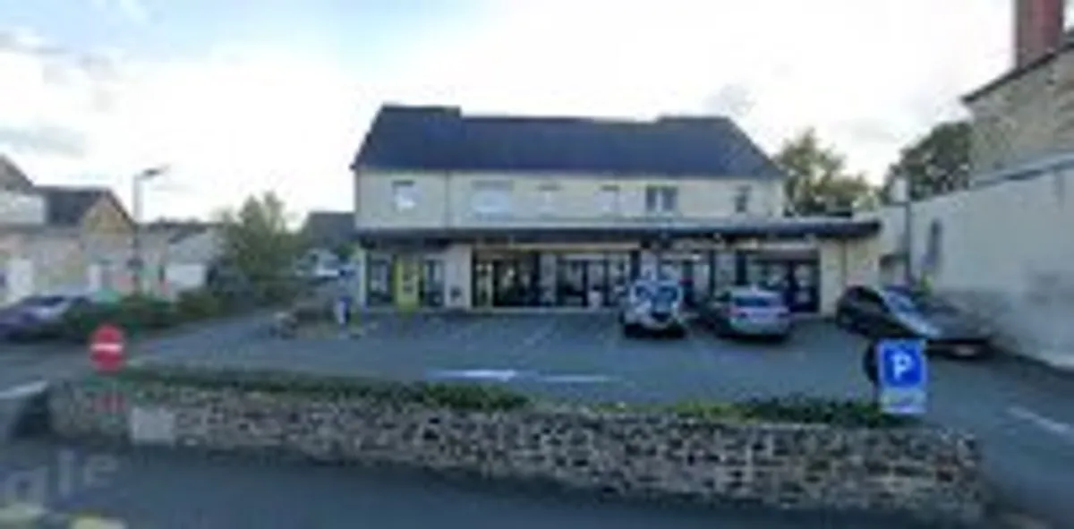 Maison et Services Meslay-du-Maine | Ménage, repassage, jardinage, nettoyage des vitres - Photo 4