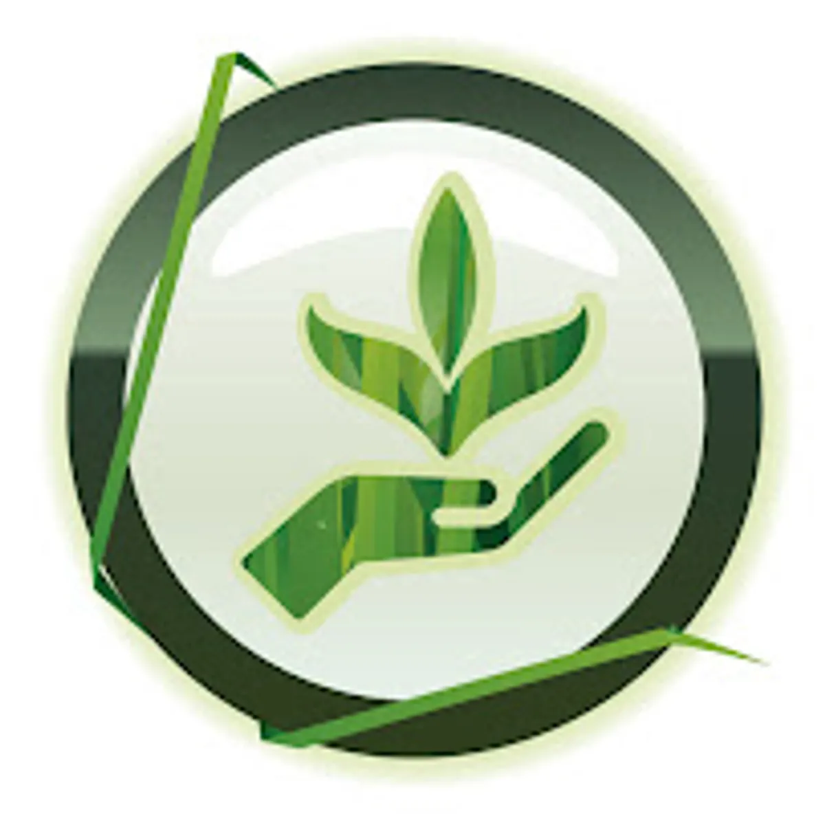 DOM-SERVICES & DOMSERVICES-PRO - Photo 5