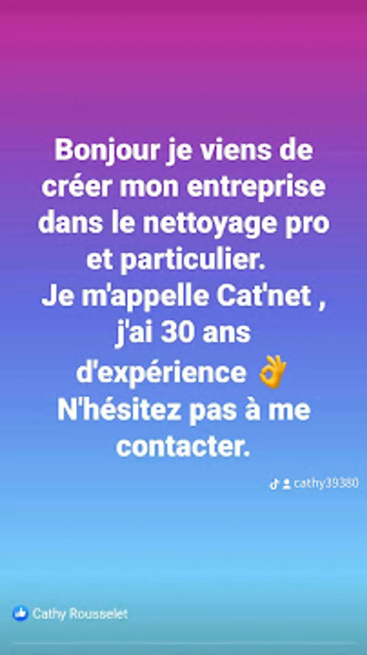 Cat'net ménage Particuliers & Professionnels - Photo 5