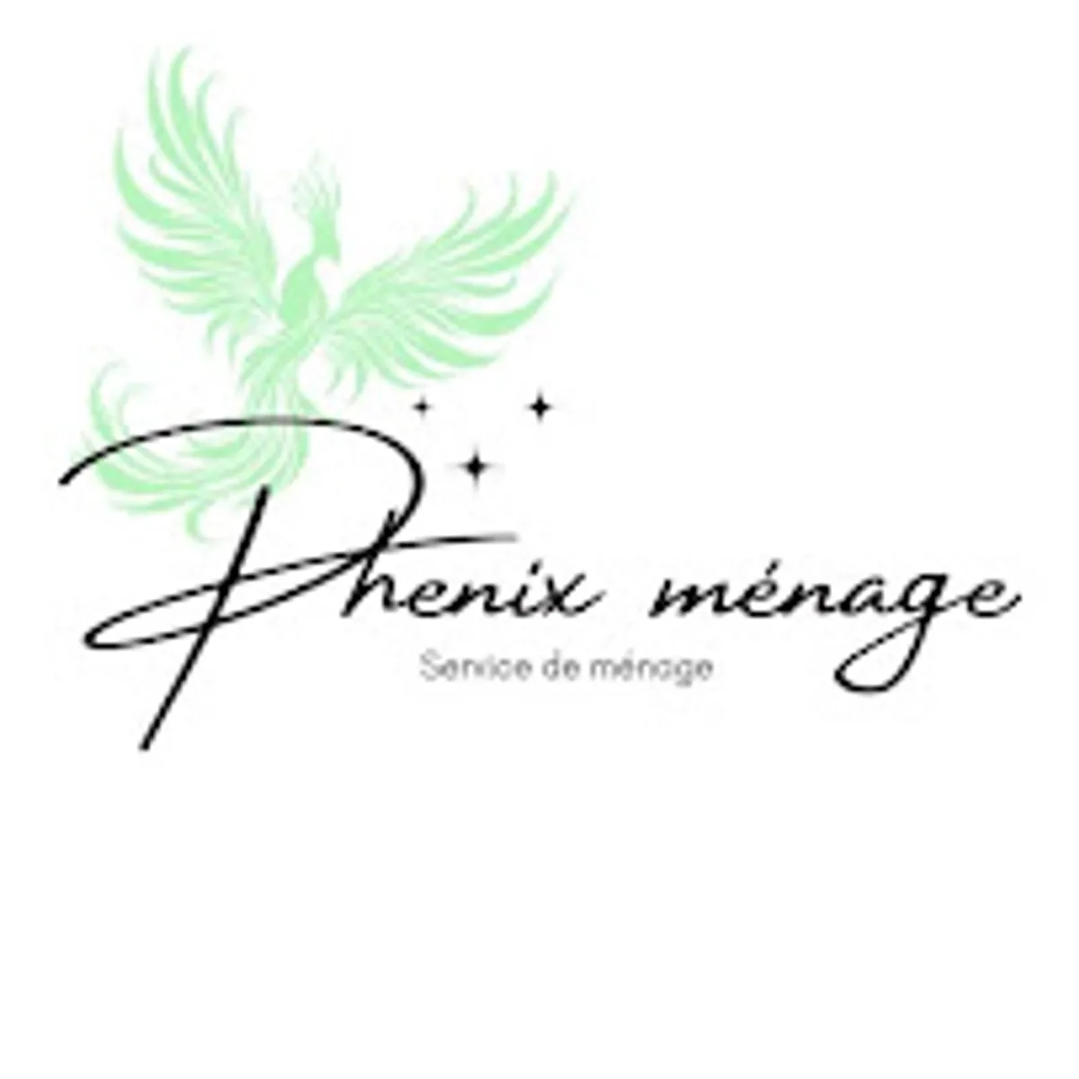 Phenix Menage - Photo 8