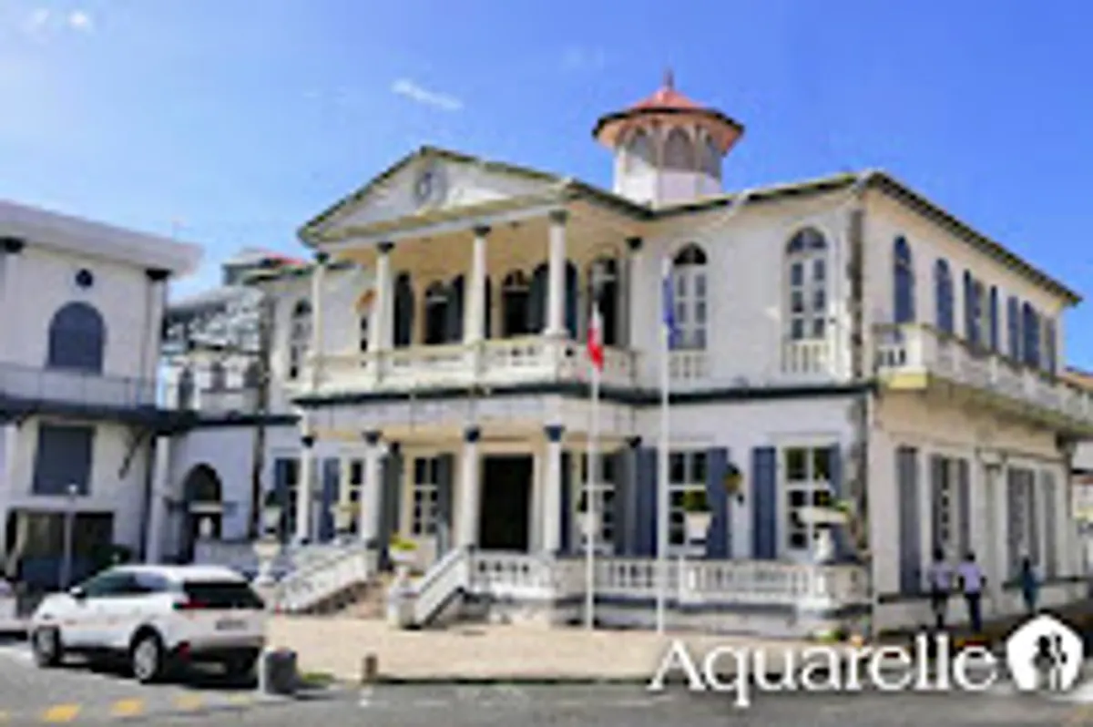 Aquarelle service Guadeloupe (Basse-Terre) - Photo 4