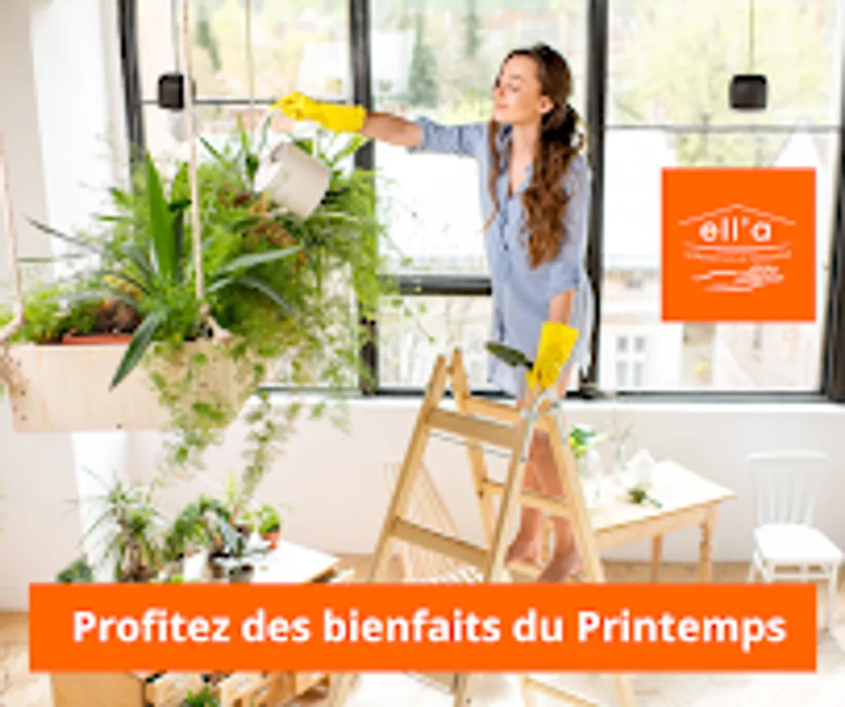 Ménage à Paris: Ell'a Services