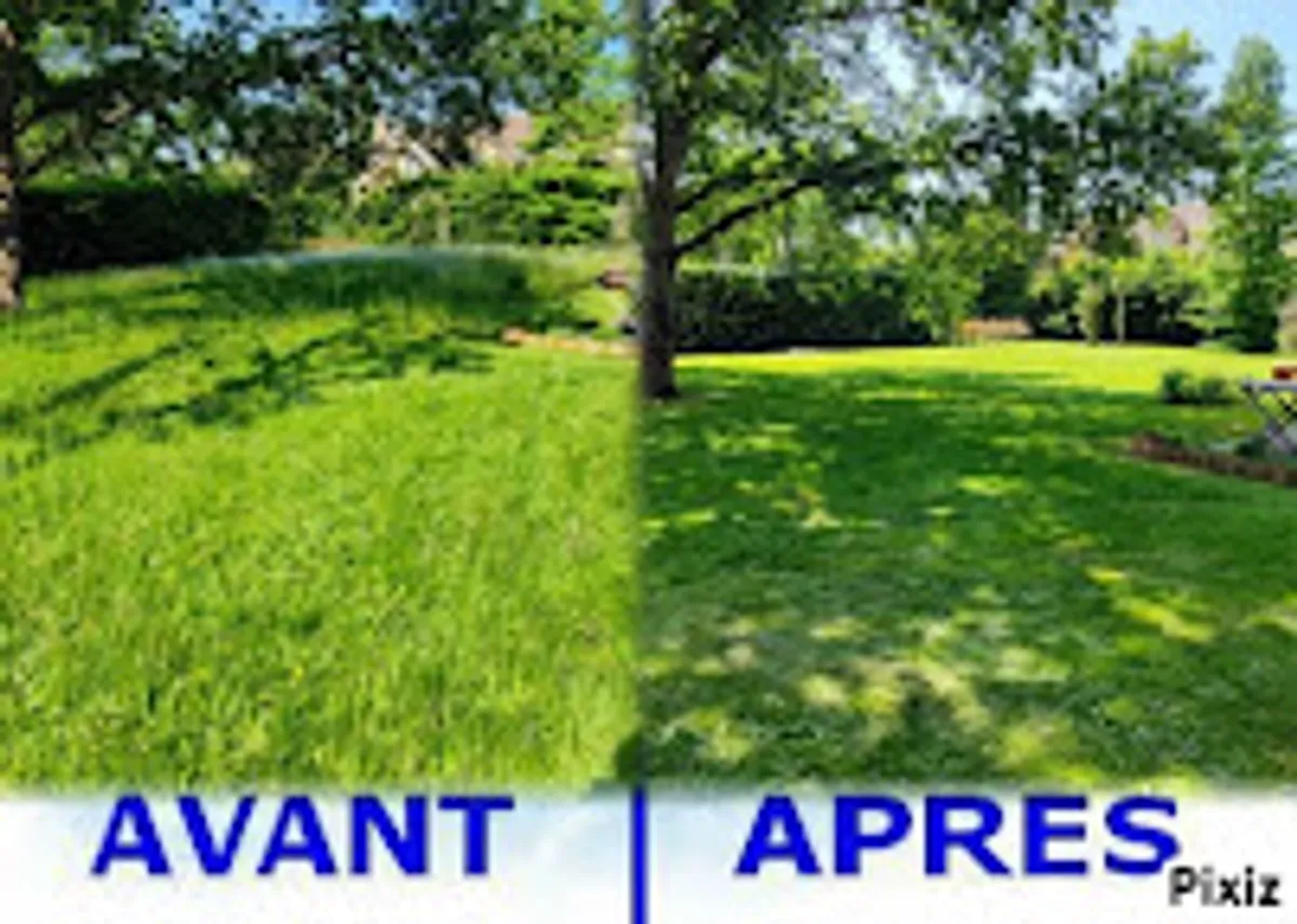 VIVASERVICES RAMBOUILLET – LES ESSARTS-LE-ROI I Ménage, Aide aux personnes âgées, Garde d'enfants, Jardinage, Bricolage - Photo 6