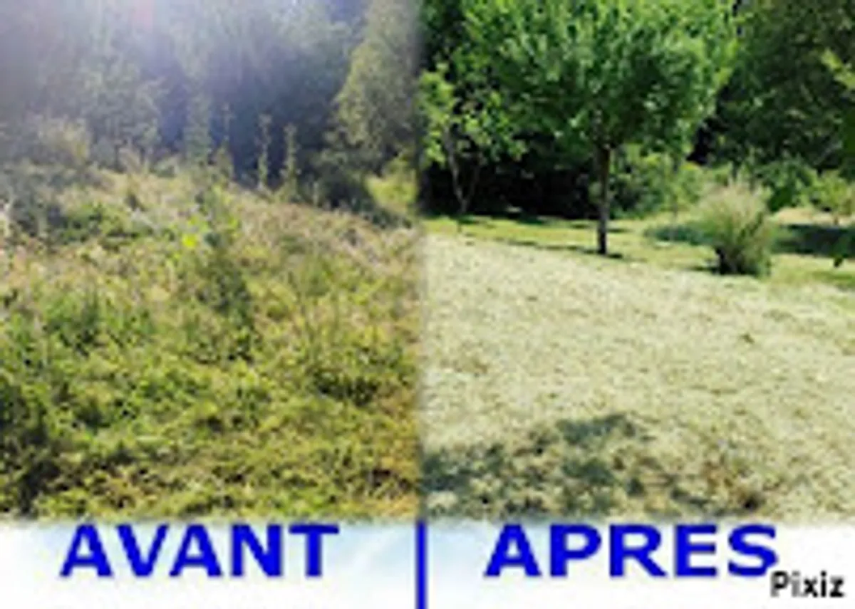 VIVASERVICES RAMBOUILLET – LES ESSARTS-LE-ROI I Ménage, Aide aux personnes âgées, Garde d'enfants, Jardinage, Bricolage - Photo 8