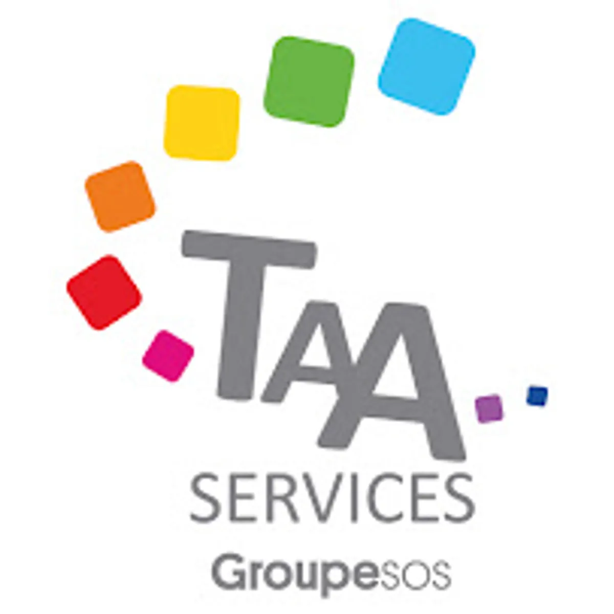TAA Services - Photo 6