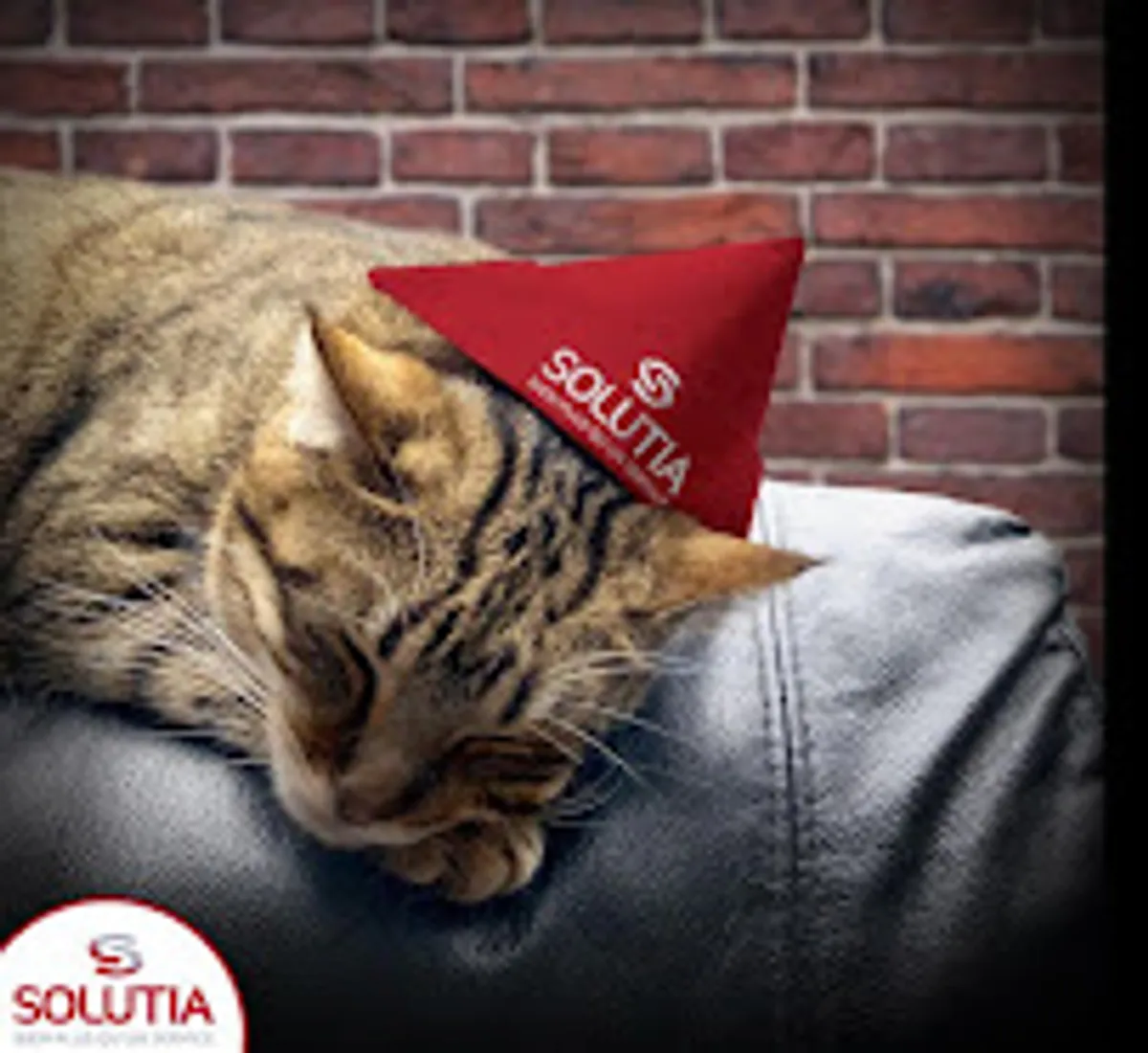 Solutia Dijon - Aide à domicile - Photo 5