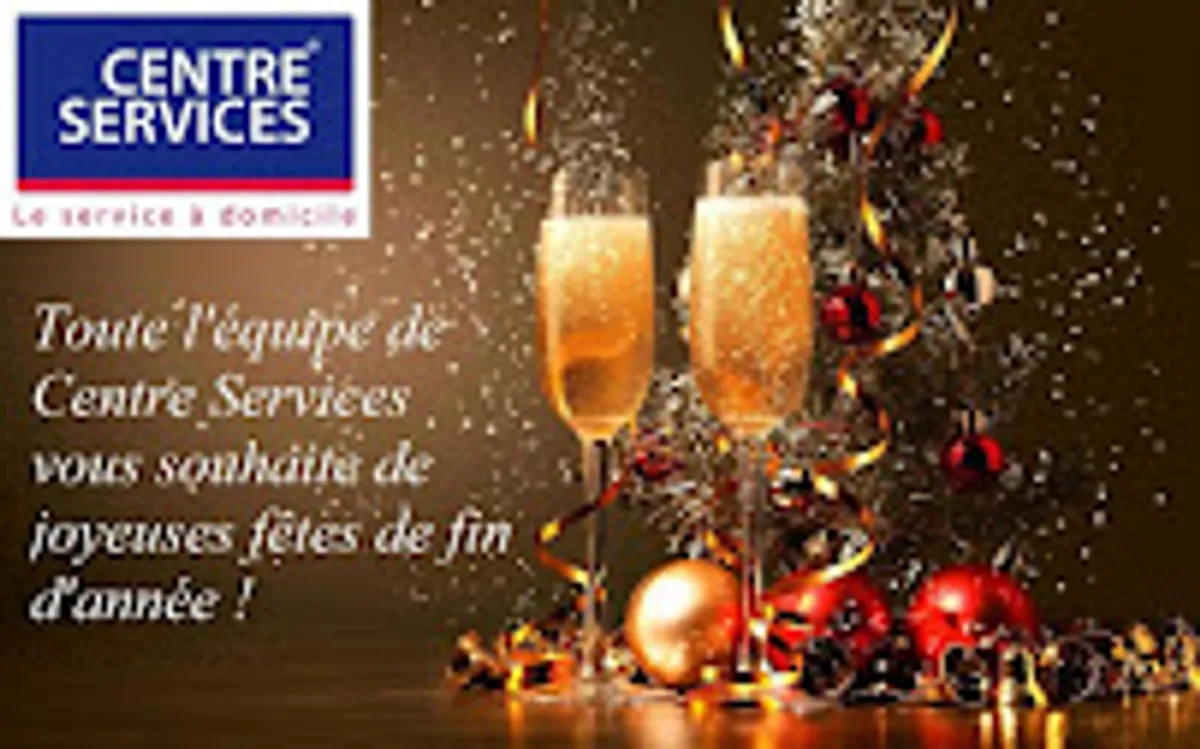 Ménage et repassage à domicile - Centre Services Nemours - Photo 4