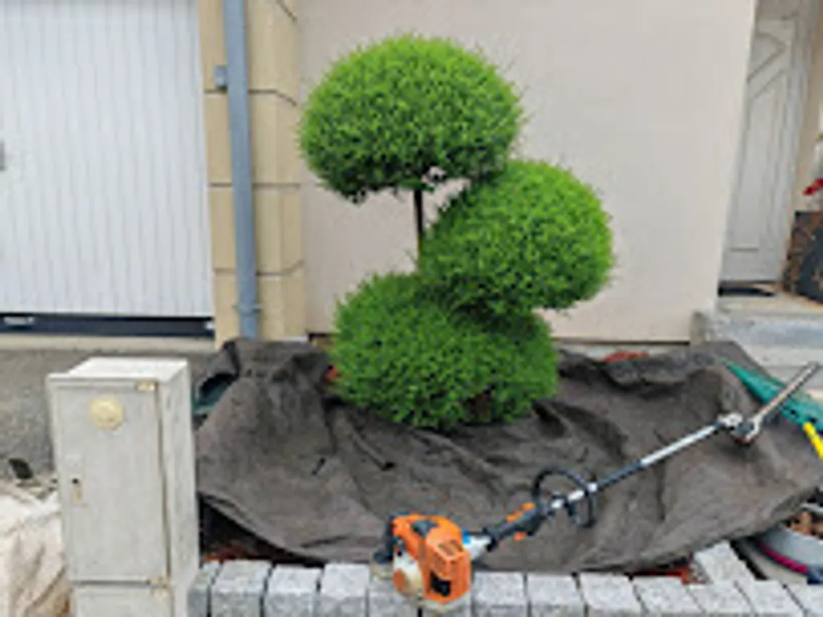 OCITO Services à la Personne - Photo 2
