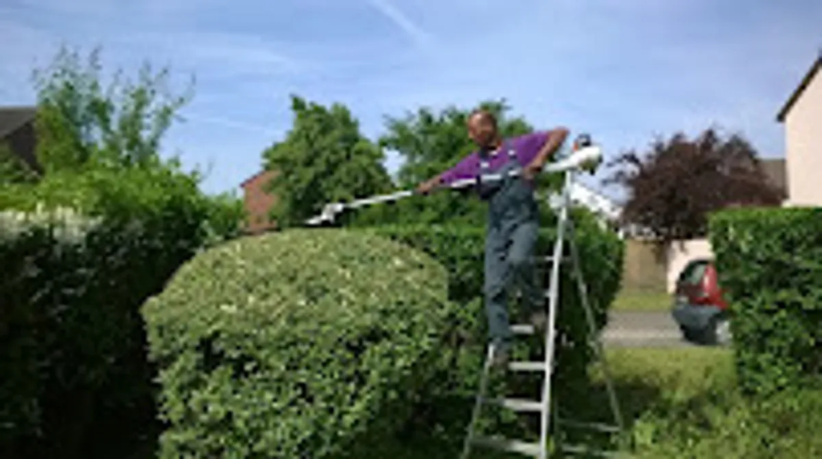 OCITO Services à la Personne - Photo 8