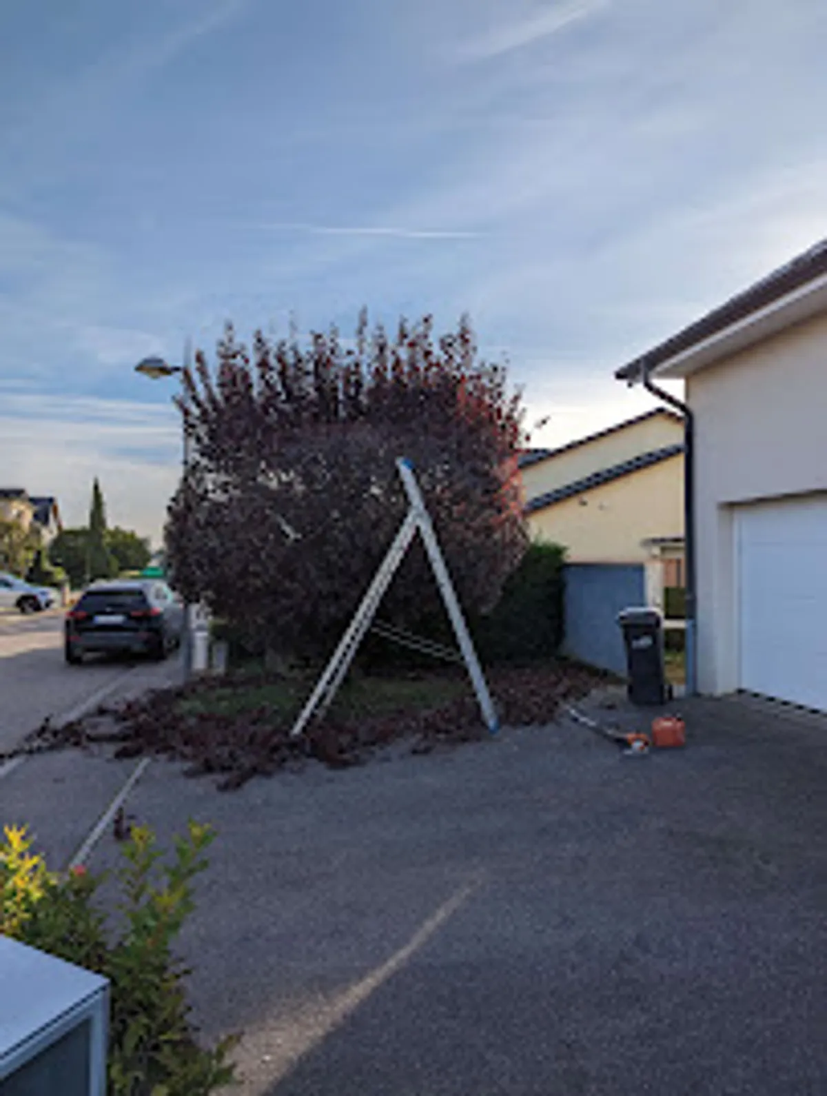 VIVASERVICES METZ - Ménage, Jardinage, Garde d’enfants, Aide aux personnes âgées, Bricolage, Aide informatique - Photo 2