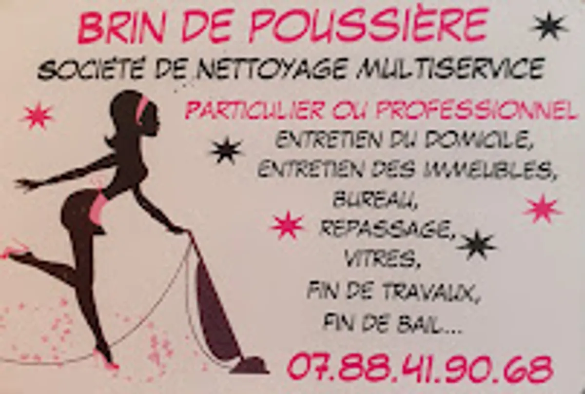 Brin de poussière (SAS)