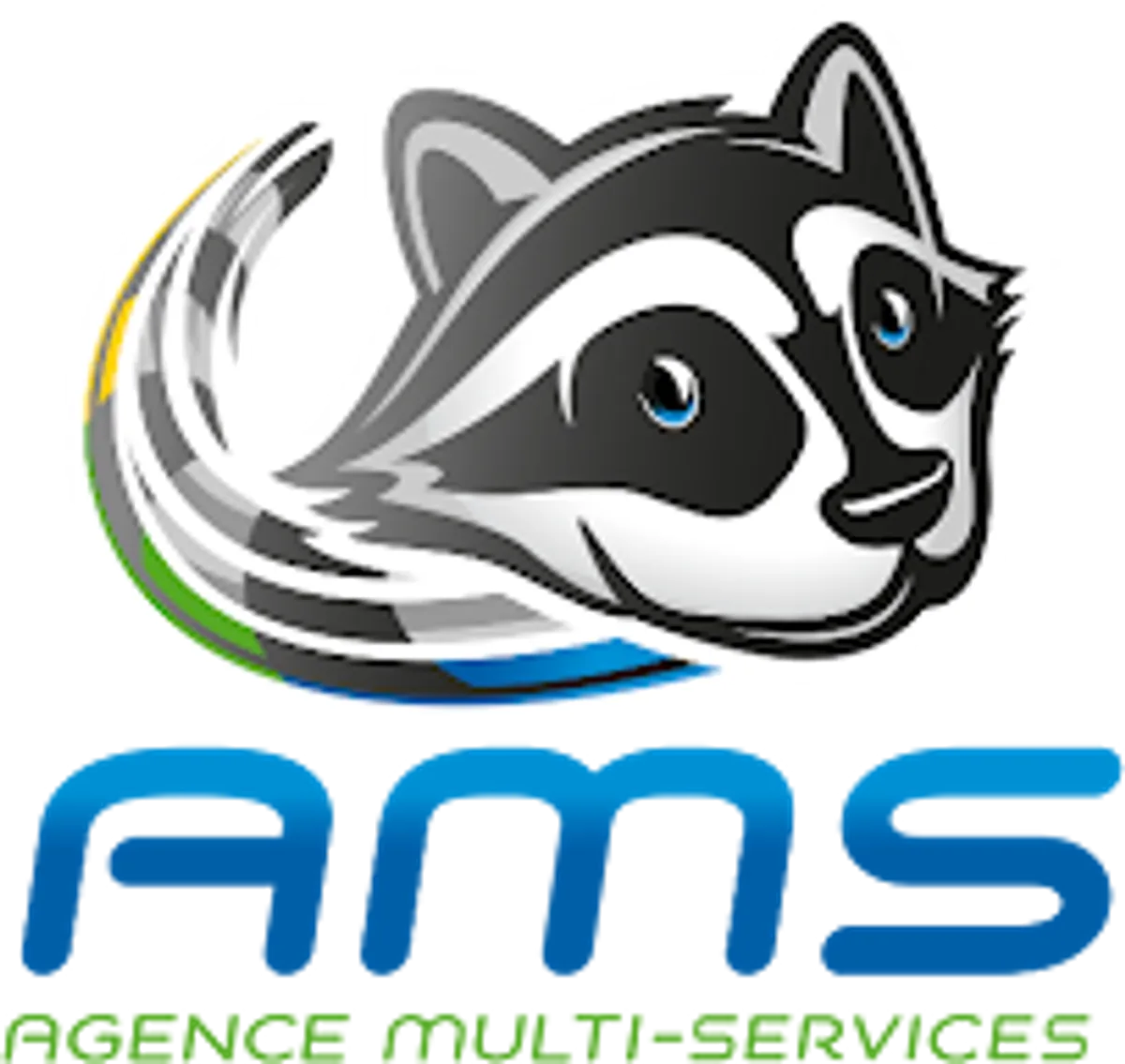 Agence Multi Services AMS - Photo 4