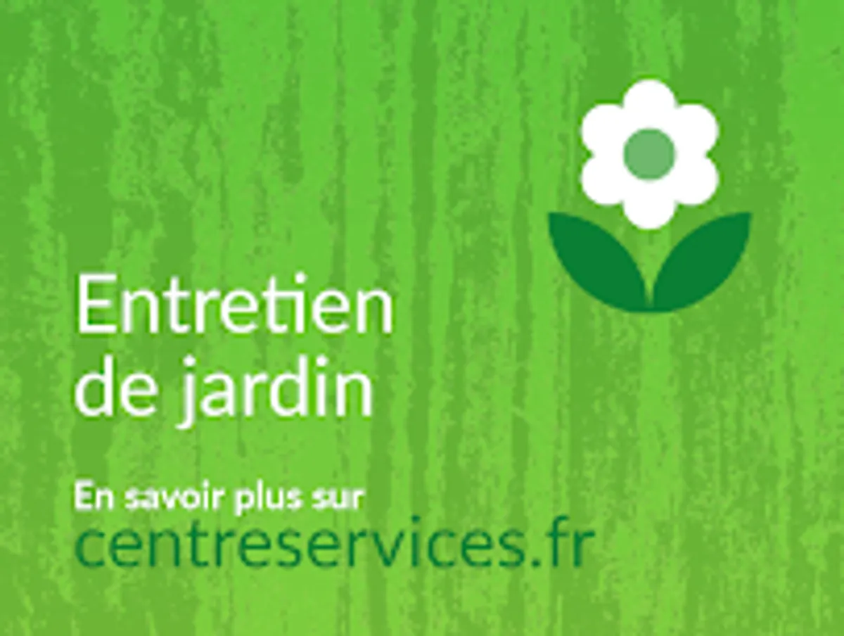 Ménage et repassage à domicile - Centre Services Hoenheim - Photo 5