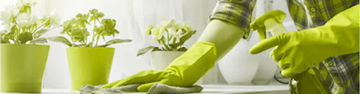 ECO DOMESTICA - Photo 6